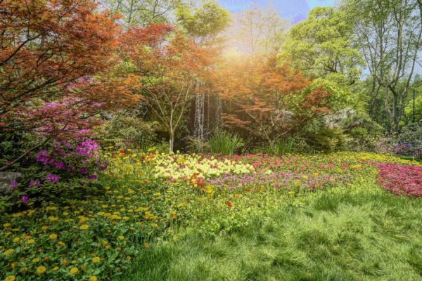 Magiczne święto Imbolc